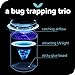 Indoor Fly Trap - Catch & Kill Bugs - Nestopia
