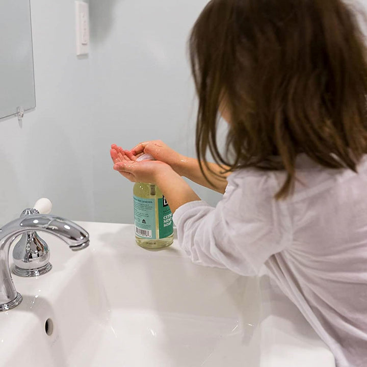 Liquid Hand Soap - Moisturizing Hand Wash - 12 Oz - Citrus Mint - Nestopia