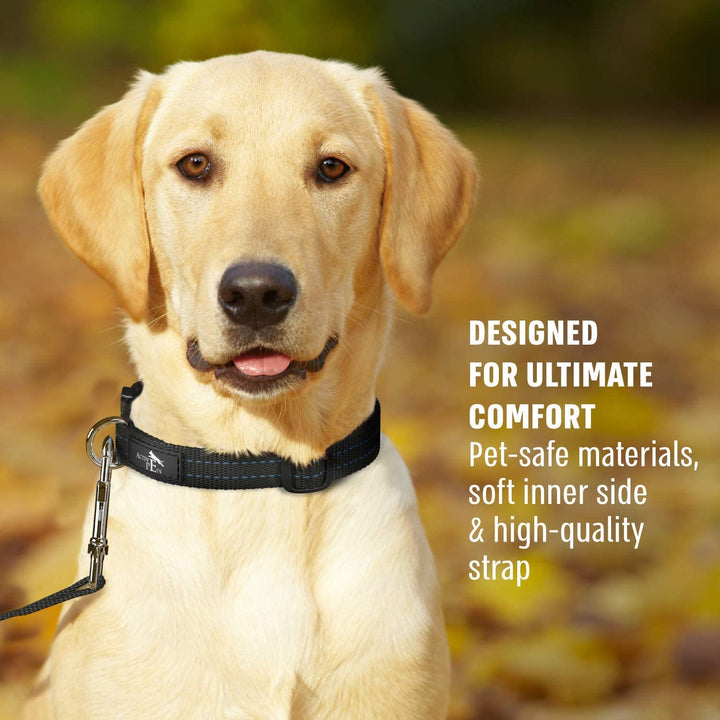 Quick Release Dog Collar for Small & Large Dogs - Nestopia