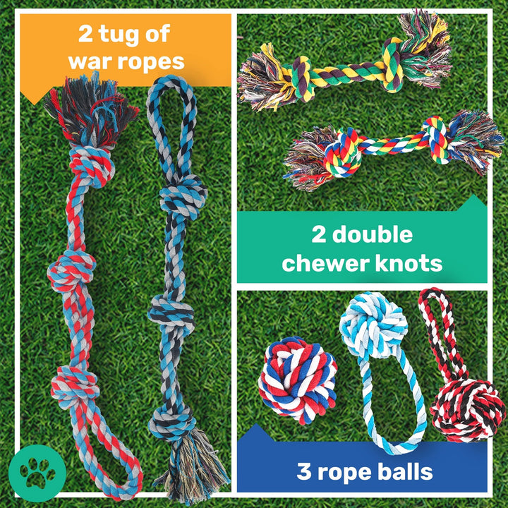 Rope Dog Toys - Nestopia