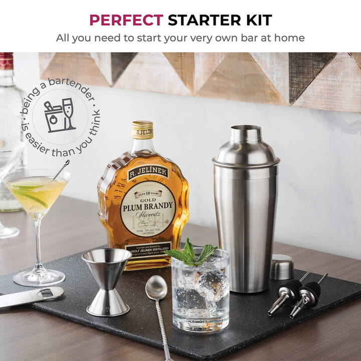 Stainless Steel Cocktail Shaker Set - Nestopia