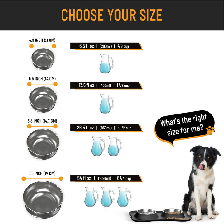 Stainless Steel No Spill Dog Bowls with Silicone Mat - Nestopia