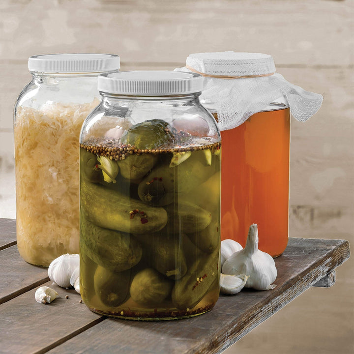 1 - Gallon Glass Jar with Airtight Lid - Nestopia