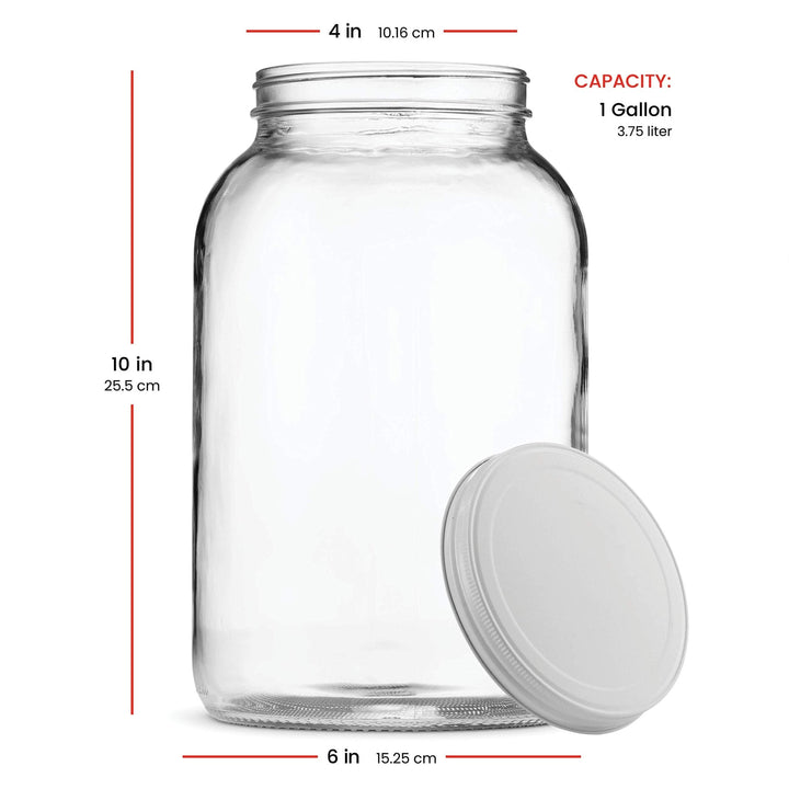 1 - Gallon Glass Jar with Airtight Lid - Nestopia