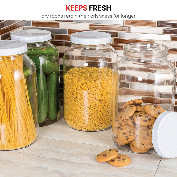 1 - Gallon Glass Jar with Airtight Lid - Nestopia