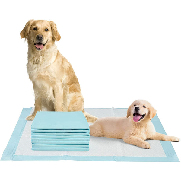 XL Puppy Pads with Leak-Proof Protection & Adhesive Tags for Pet Training, 24x36 - 30 Pack