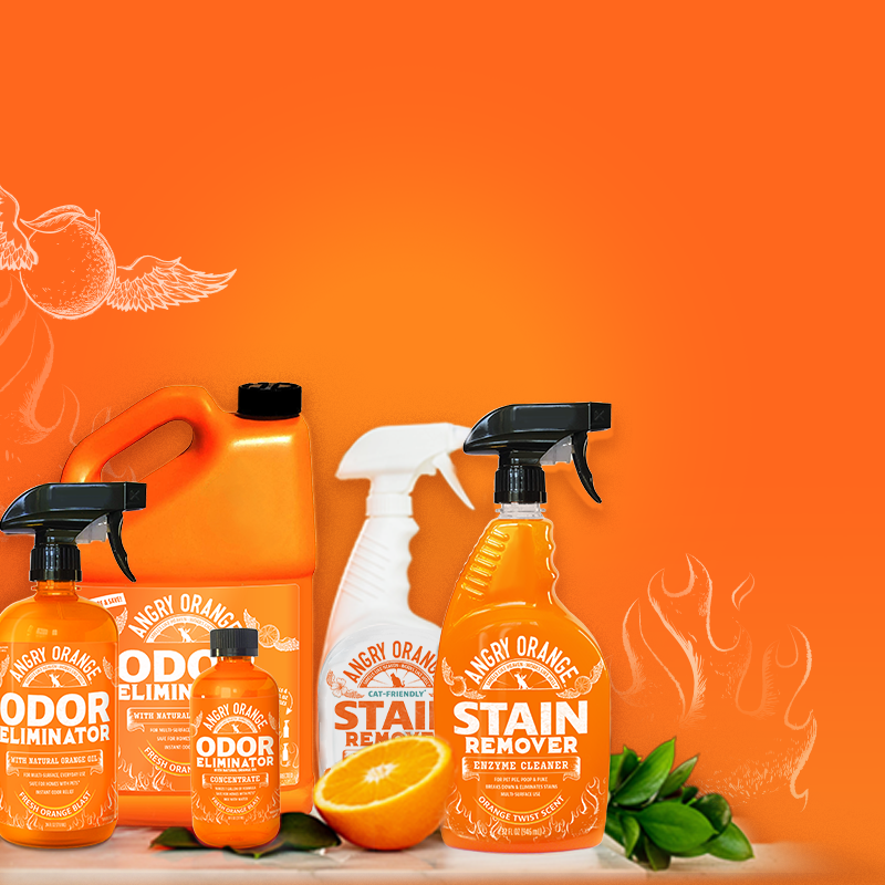 Angry orange cleaner hot sale