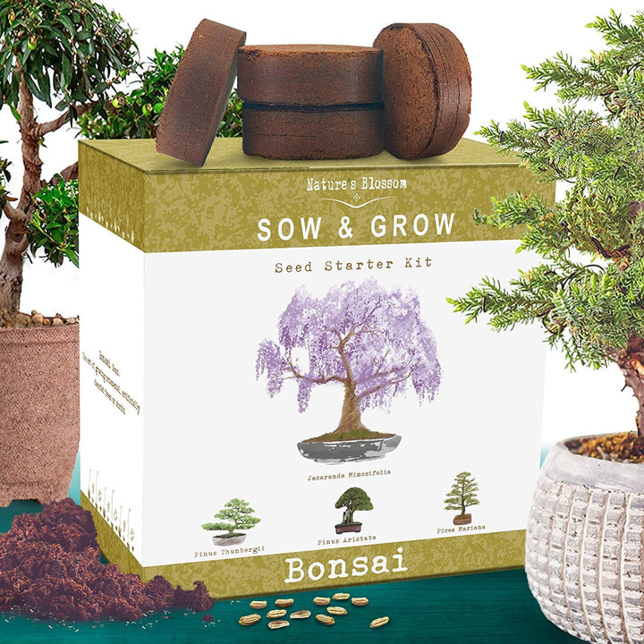 Blossom Germination Kits - Nestopia