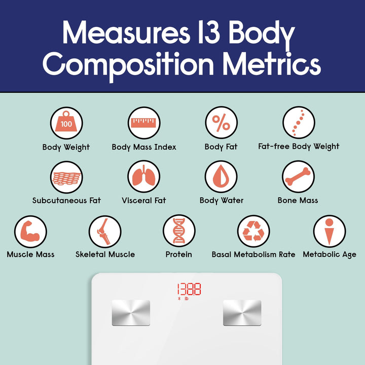 Bluetooth BMI Scale - Nestopia