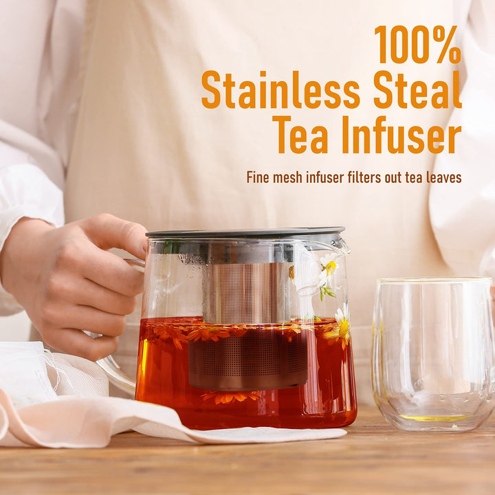 Clear Glass Teapot with Removable Strainer - Nestopia