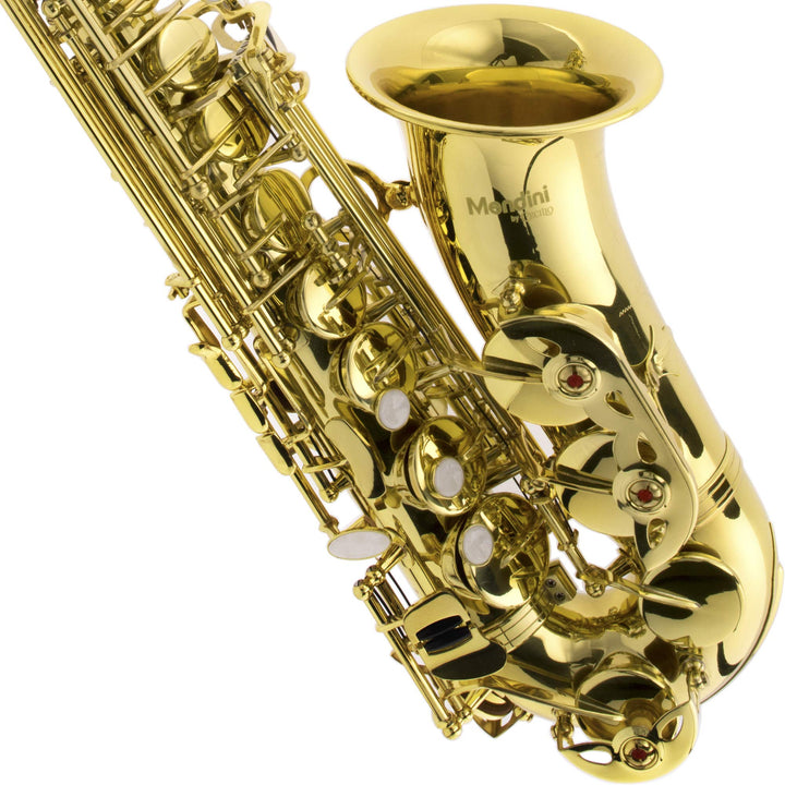 Mendini By Cecilio Alto Saxophone - E Flat Saxophones w/Case, Mouthpiece, Stand, Reeds & Cloths - Nestopia