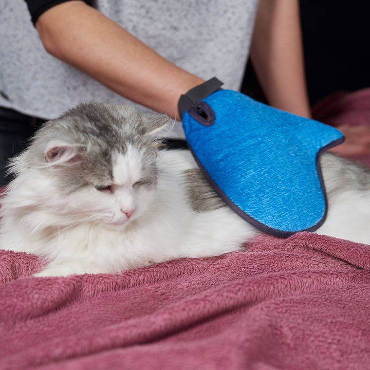 Pet Grooming Gloves - Nestopia