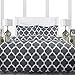 Sleep Restoration Luxury Goose Down Alternative Reversible Quatrefoil Comforter - Premium All Season Duvet - King/Cal King - Gray - Nestopia