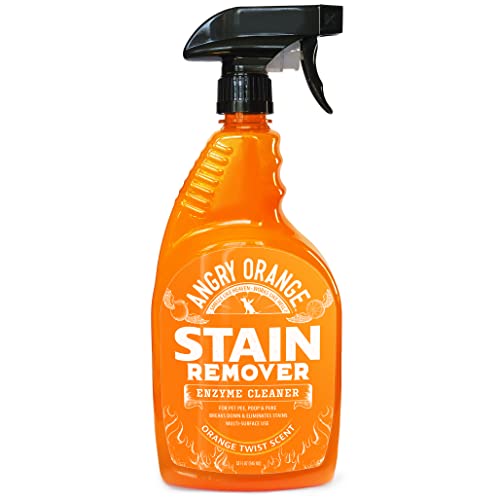 Pet Stain & Odor Eliminator - Citrus Scent
