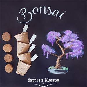 Blossom Germination Kits - Nestopia