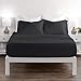 Egyptian King Sheet Set - Black - Nestopia