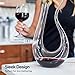 Red Wine Decanter with Aerator - 750mL Crystal Glass Wine Carafe - Nestopia
