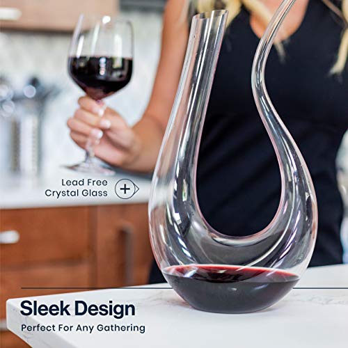 Red Wine Decanter with Aerator - 750mL Crystal Glass Wine Carafe - Nestopia