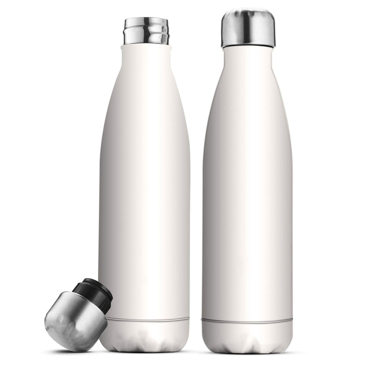 Triple-Insulated Stainless Steel Water Bottle - 2 Pack - Nestopia