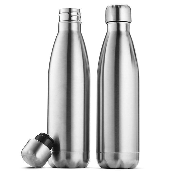 Triple-Insulated Stainless Steel Water Bottle - 2 Pack - Nestopia